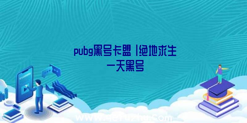 「pubg黑号卡盟」|绝地求生